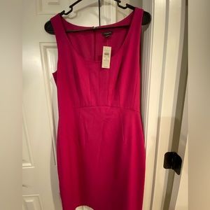 Great Barbie dress!! Ann Taylor fuchsia pink dress- new with tags